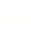 Government